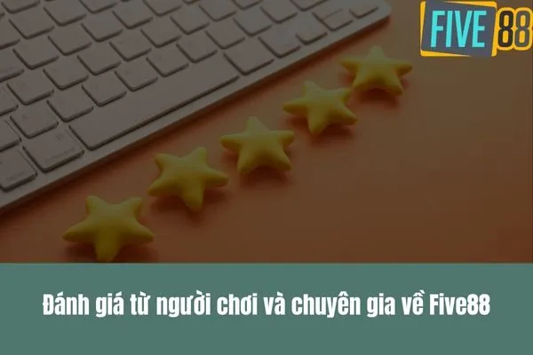 Five88 của nước nào Nguồn gốc và ảnh hưởng đến thị trường Việt Nam